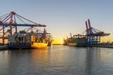 Hamburg port container ships