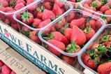 Hugh Lowe berries