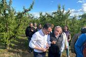 Schäden bei Obstkulturen in Katalonien