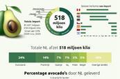 fact sheet avocado groentenfruit huis