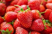 Piman Khrutmuang_AdobeStock_252788993