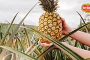Del Monte Honeyglow pineapple