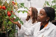 Phytoform Labs tomato breeding