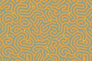 NGTs maze