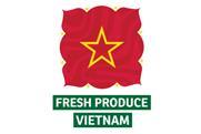 FPV logo