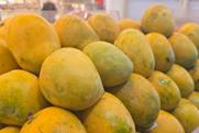 Indian mangoes