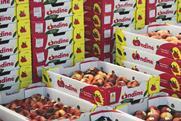 WA Farm Direct exports Ondine flat stonefruit