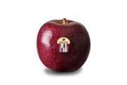 Soluna apple WA Farms Direct Australia