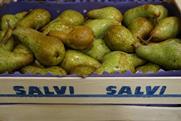 Salvi pears