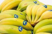 Canary Islands bananas