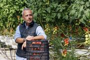Rijk Zwaan ToBRFV general pic tomatoes