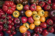 GEN tomatoes global-tomato-congress_532
