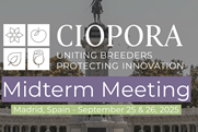 Ciopora
