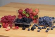 Mixed berry punnets Multisteps Australia