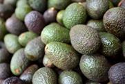 Avocados in China