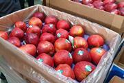 Turkish apples in India