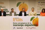 Valencia Fruits