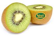 Kiwi Atlantico