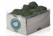 Amcor P-Plus liner