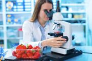 Fruit inspection testing strawberries Adobe Stock