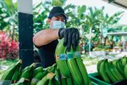 EC CREDIT Equifruit TAGS Fairtrade bananas