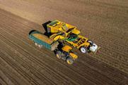 Harvesting Georgina potatoes at Branston's low-carbon concept farm