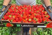 Labidino