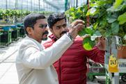 HortiRoad2India