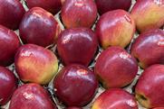 Poland apples Pola