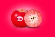 FIZZ Hero image 2