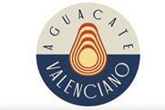 Aguacate Valenciano