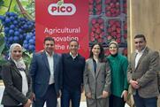 Pico team