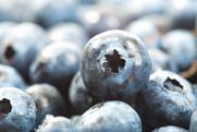 US blueberries closeup Adobe