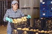 Generic potato sorting warehouse