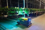 VLAM UV-C robot in the greenhouse