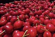 Red cherries closeup