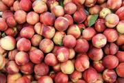 Organic nectarines Adobe Stock