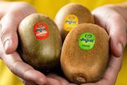 jingold-kiwi-2