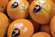 South African ClemenGold with Sinclair compostable labels