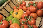 Mixed tomatoes in wooden container