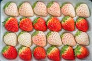 Korean strawberries