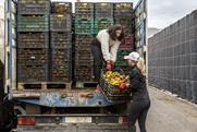 Loading greenhouse grown peppers into truck lorry Almeria Spain Adobe Stock