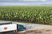 Fresh Del Monte lorry banana production