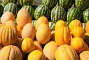 Kazakhstan melons AdobeStock_359205518