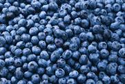 Blueberries Adobe Stock
