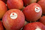 Biosudtirol organic apples South Tyrol