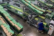 Ceres Fruit Growers Tru-Cape South Africa apple packhouse