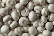 Generic mushrooms top-down Adobe Stock