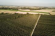 Gruppa Organic Poland apple production landscape