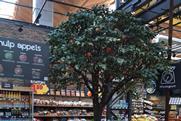 Jumbo apples pears tree
